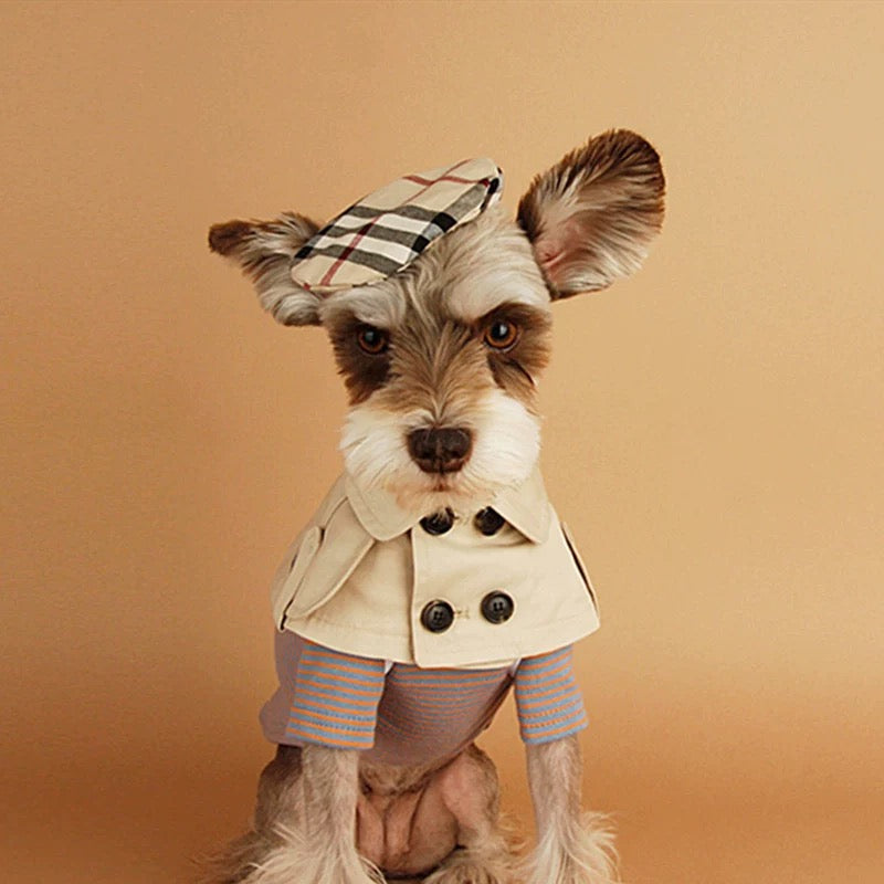 Luxpet British-Inspired Dog Trench Coat – British Style Dog Collar Cape – Lightweight Trench Coat Neck Scarf for Cats & Small Dogs